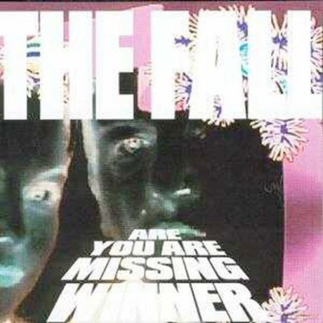 The Fall: Are You Are Missing Winner [CD]