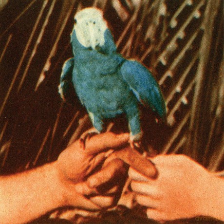 Andrew Bird: Are You Serious (Dlx) [2CD]