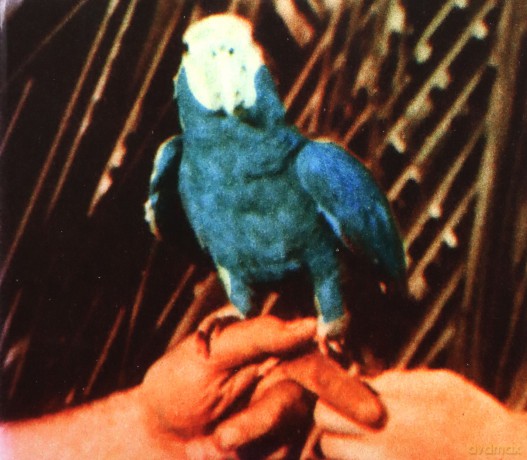 Andrew Bird: Are You Serious (Dlx) [2CD]