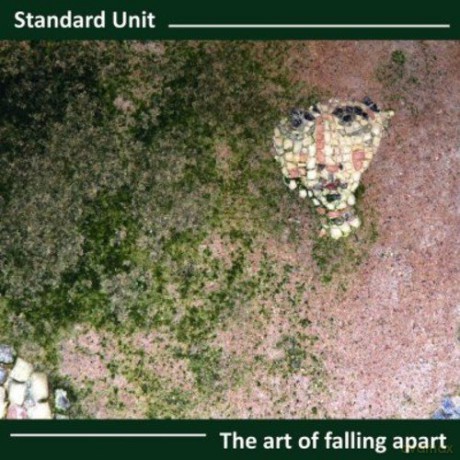 Standard Unit: Art of Falling Apart [CD]