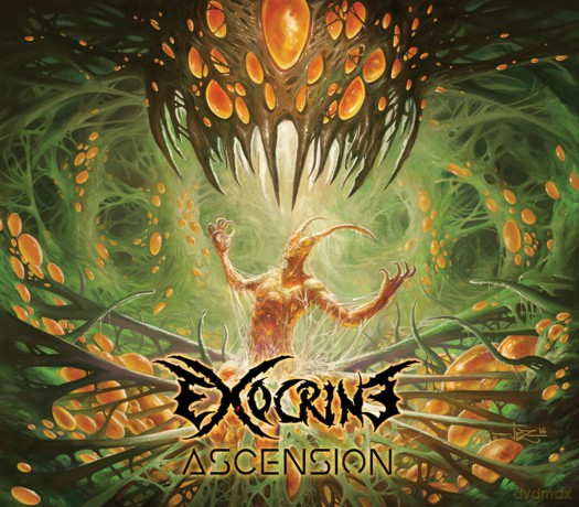 Ascension: Ascension [CD]