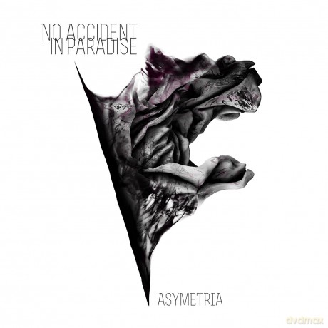No Accident in Paradise: Asymetria [CD]
