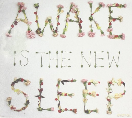 Ben Lee: Awake Is the New Sleep [CD]