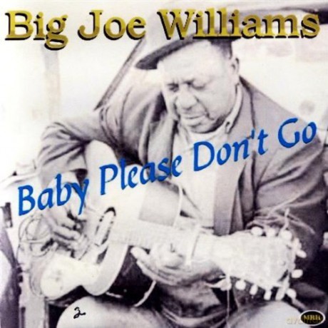 Big Joe Williams: Baby Please Don Go [CD]