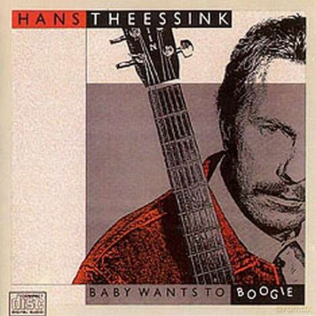 Hans Theessink: Baby Wants to Boogie [CD]