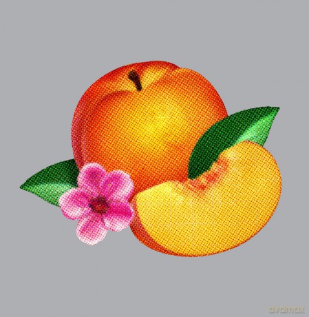 Phoenix: Bankrupt [CD]