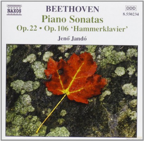 Ludwig Van Beethoven: Beethoven: Piano Sonatas, vol. 9 - Op. 22, Op. 106 ammerklavier' [CD]