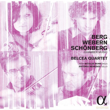 Alban Berg: Berg; Schoenberg; Webern: Chamber Music [CD]