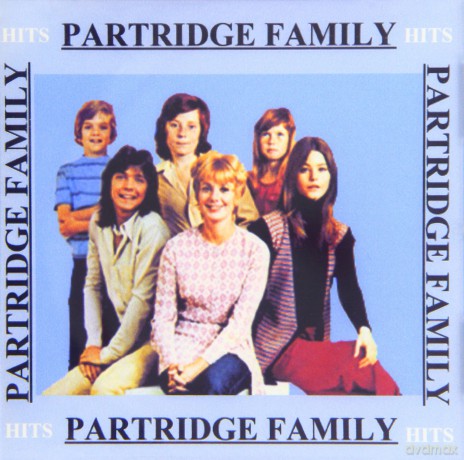 Partridge Family: Best of 26 Cuts [CD]