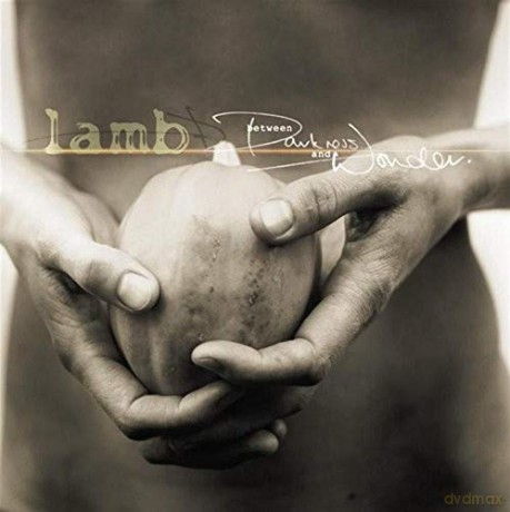 Lamb: Between Darkness and Wonder [CD]