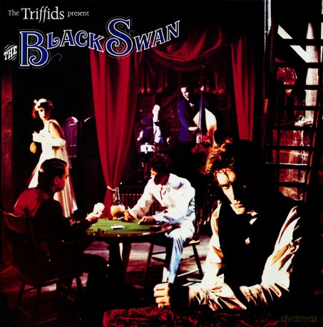 Triffids: Black Swan [2CD]