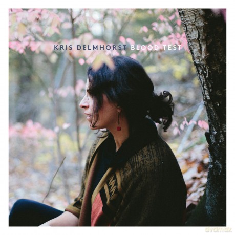 Kris Delmhorst: Blood Test [CD]