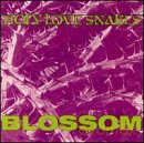 Holy Love Snakes: Blossom [CD]
