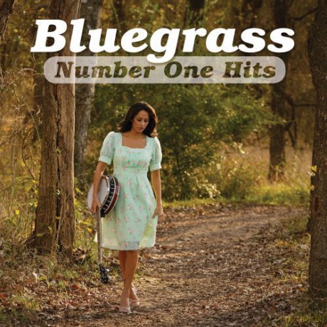 Bluegrass Number Ones [CD]