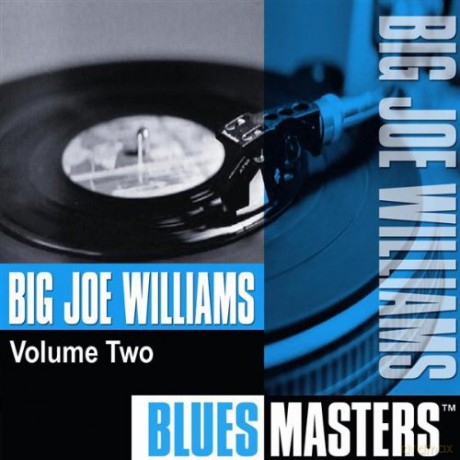 Big Joe Williams: Blues Masters vol. 2 [CD]