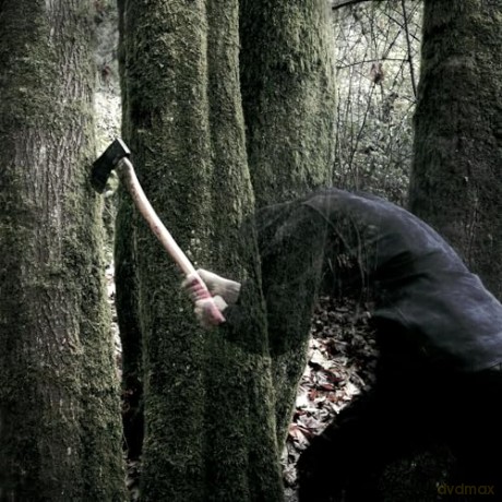 Baptists: Bushcraft [CD]