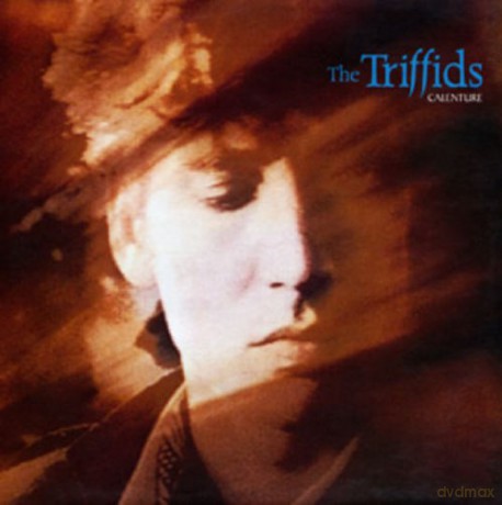 The Triffids: Calenture [2CD]