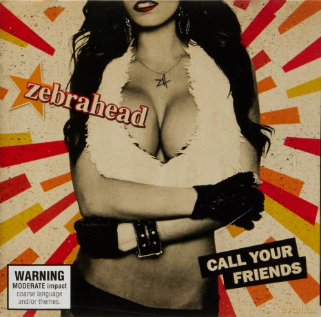 Zebrahead: Call Your Friends [CD]