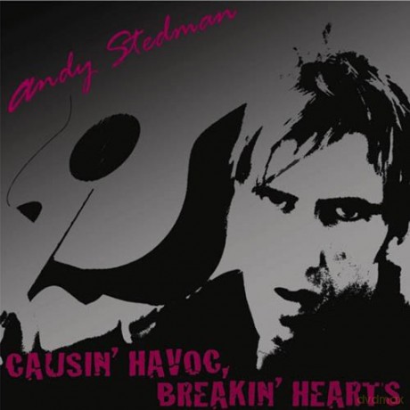 Andy Stedman: Causin' Havoc, Breakin' Hearts [CD]