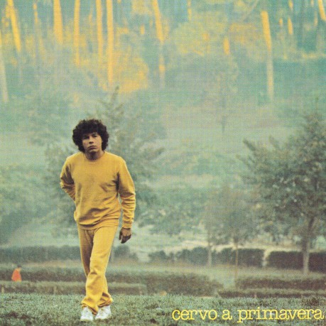 Riccardo Cocciante: Cervo a Primavera [CD]