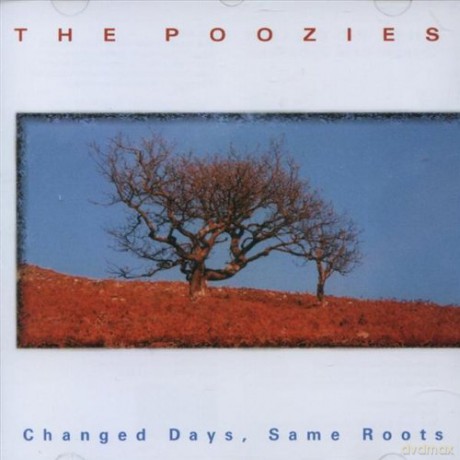 The Poozies: Changed Days, Same Roots [CD]