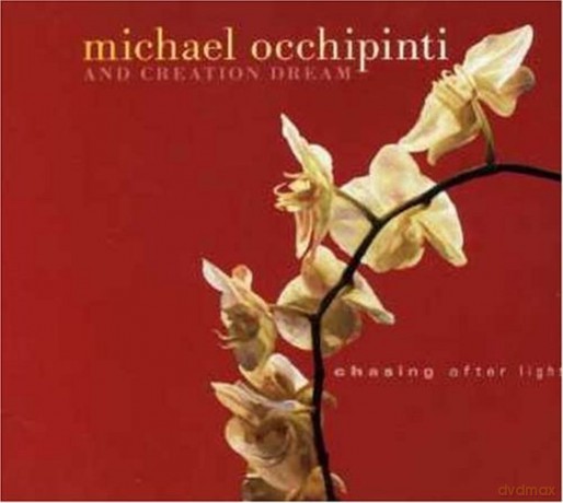 Michael Occhipinti: Chasing After Light [CD]