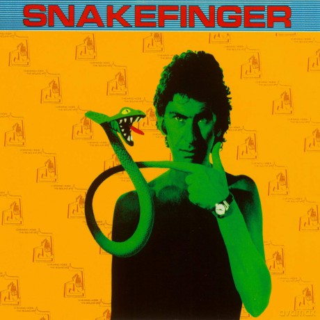 Snakefinger: Chewing Hides The Sound [CD]