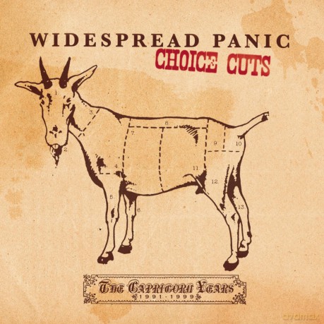 Widespread Panic: Choice Cuts: The Capricorn Years 1991 - 99 [CD]