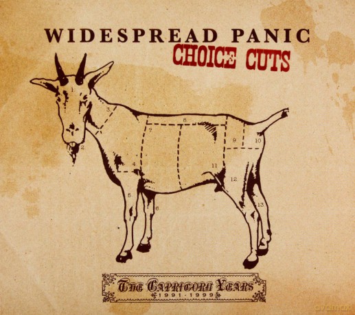Widespread Panic: Choice Cuts: The Capricorn Years 1991 - 99 [CD]