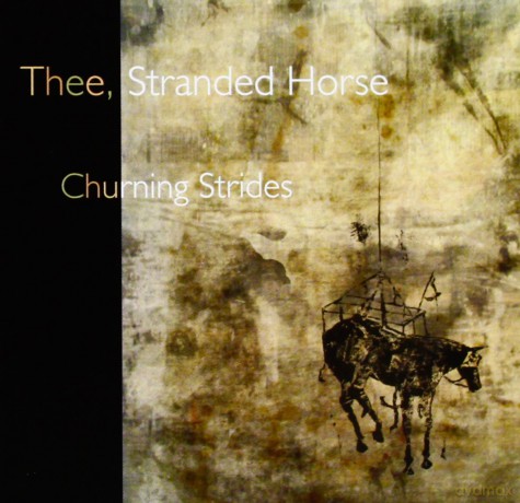 Three Stranded Horse: Churning Strides [CD]