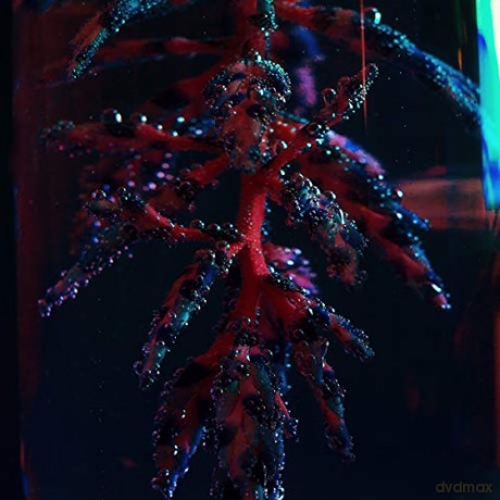 Objekt: Cocoon Crush [CD]