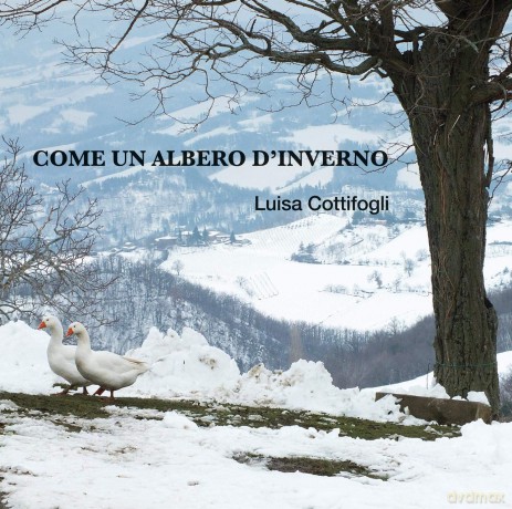 Luisa Cottifogli: Come Un Albero D'Inverno [CD]