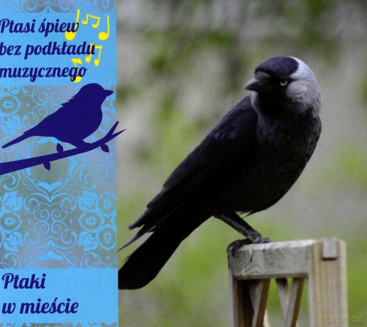 Ptaki W Mieście (digipack) [CD]