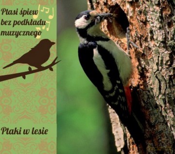 Ptaki W Lesie (digipack) [CD]