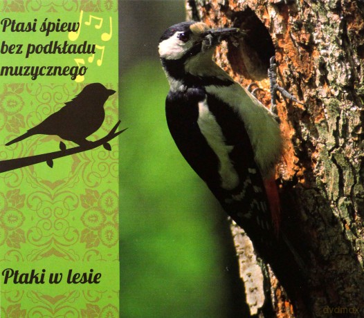 Ptaki W Lesie (digipack) [CD]