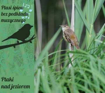Ptaki Nad Jeziorem (digipack) [CD]