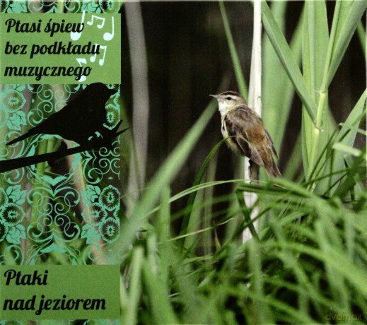 Ptaki Nad Jeziorem (digipack) [CD]