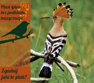 Zgadnij Jaki To Ptak (digipack) [CD]