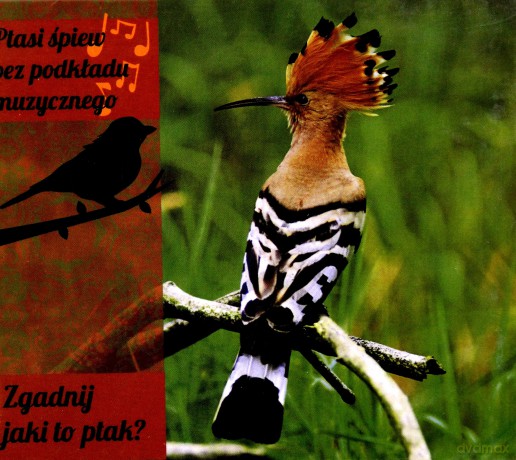 Zgadnij Jaki To Ptak (digipack) [CD]
