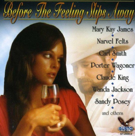 Country's Best: Before the Feeling Slips Away [CD]