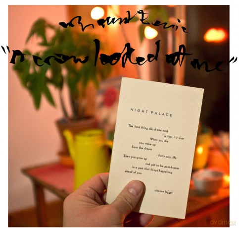 Mount Eerie: Crow Looked At Me [CD]