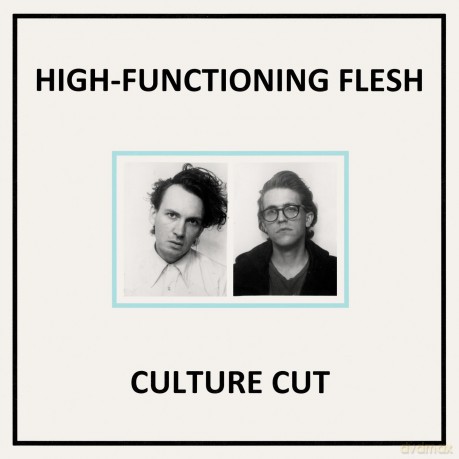 High-Functioning Flesh: Culture Cut [CD]