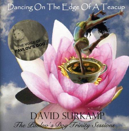 David Surkamp: Dancing on the Edge of a Teacu [CD]