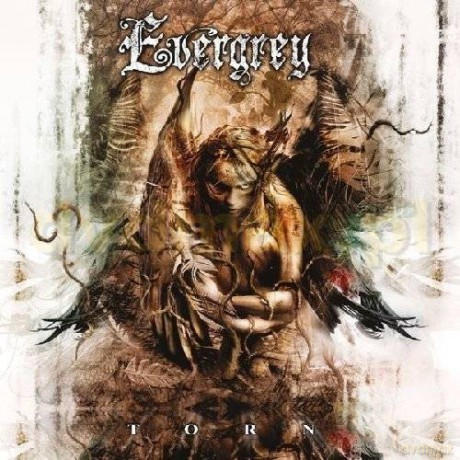 Evergrey: Torn [CD]