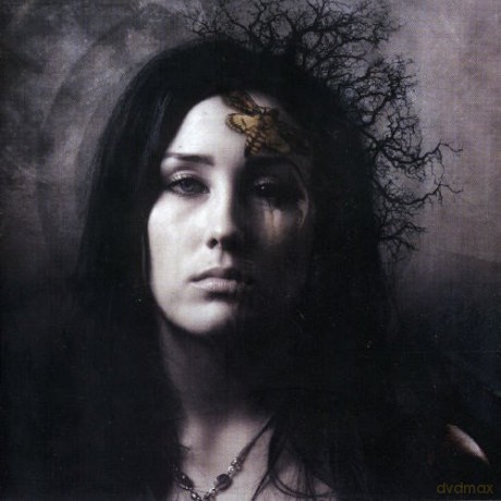 Sara Lee: Darkness Between [CD]