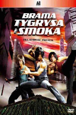 Brama Tygrysa i Smoka [DVD]
