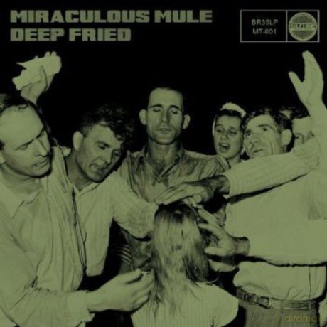 Miraculous Mule: Deep Fried [CD]