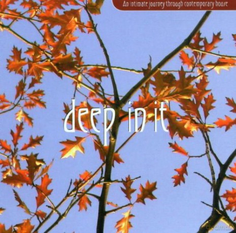 Deep in It [CD]