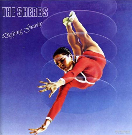 The Shrebs: Defying Gravity [CD]