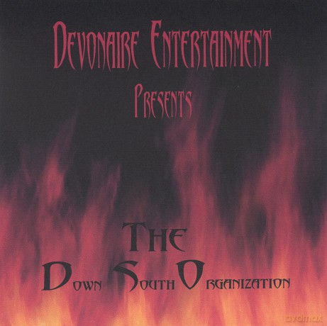Dso: Devonaire Entertainment Presents-Down South Organi [CD]